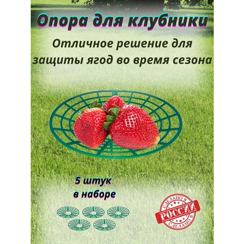 ������ ������ ����� ��� �������� 5 ��. ����