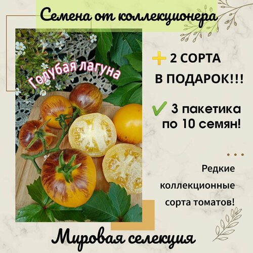 ������ ������ ����� ������� ������, ����������������, ���������� ��������, ������ �� ������������� ����