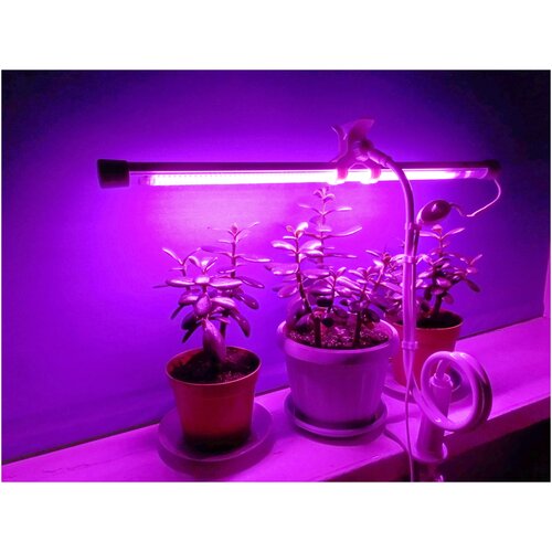 ������ ������ ��������� ��� ��������� ����������, ������ 110 �� ����