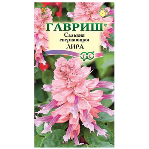 ������ ������ ������. ������� 