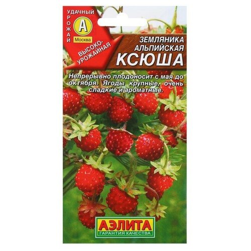 ������ ������ ������ ��������� 