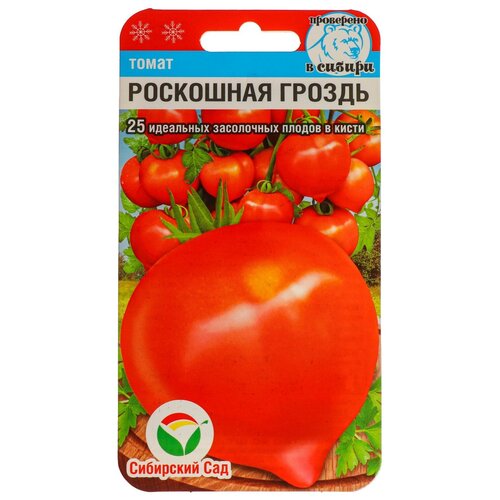 ������ ������ ������ ����� 