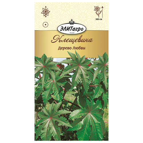 ������ ������ ��������� ������ ����� (5 �����), 2 ������ ����