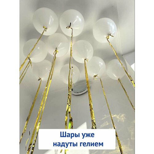 ������ ������ ��������� ���� � ������, ���� ��� ������� � �������� ����� 2024, ����� 15 �� ����