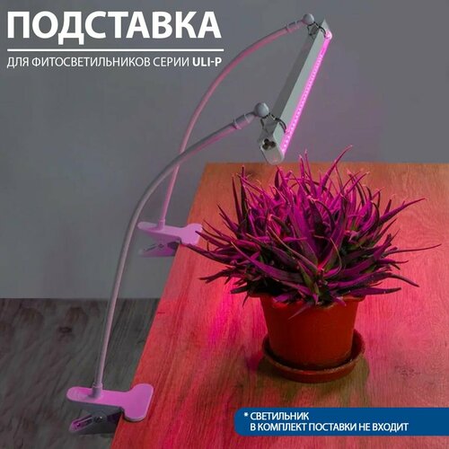 ������ ������ ��������� ��� ��������� �� �������� � ������ ������� ��� ����� ULI-P, 2 ��. �� 50 �� ����