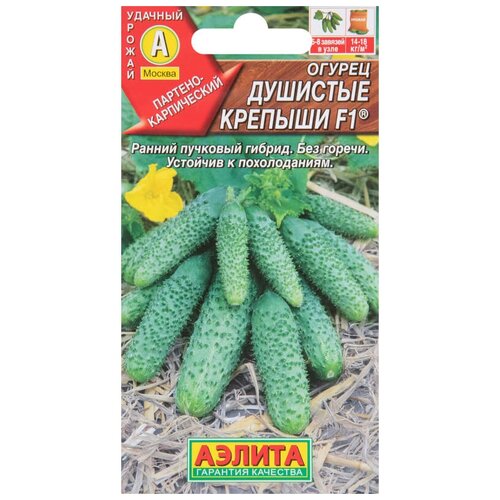 ������ ������ ������ �������� ������� F1 10 ��. ����