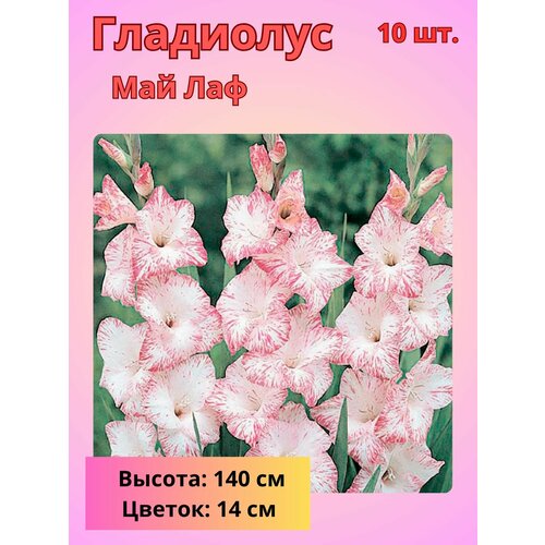 ������ ������ ��������� ��������������� ��� ���, �������� ���������� ����