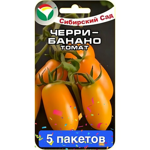 ������ ������ ������ ������ ��������� ��� 