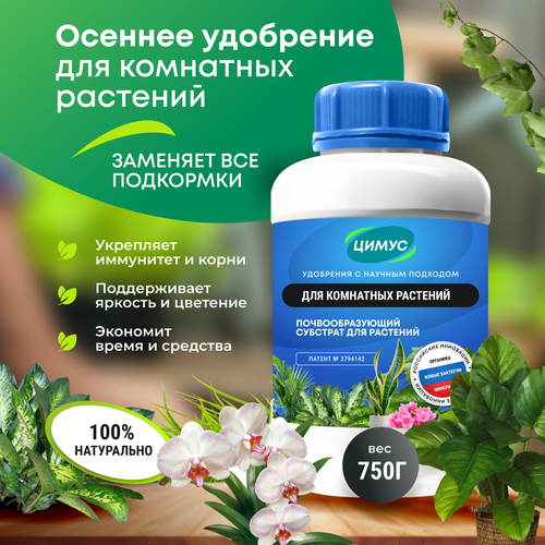 ������ ������ ����� ����������� ��������� ��� ���� ����� ��������� �������� � ������ 750 � ����