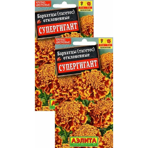 ������ ������ �������� ����������� ����������� (0,3 �), 2 ������ ����