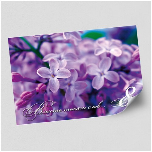 ������ ������ ����������/������ �������������� �� 8 �����, ������ �-2 (60x42 ��.) ����