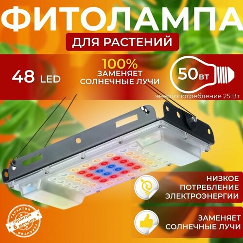 ������ ������ ��������� ��� ����������� �������� ������� ������ ������ �������������� ������������, ����� ��������� ��� ������ � �������� ����