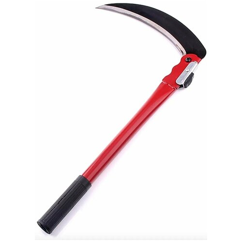 ������ ������ ���� ��������, 50 �� ����