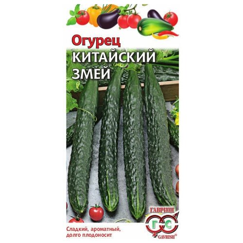 ������ ������ ������ ��������� ���� ����