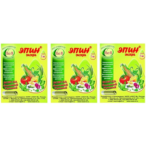 ������ ������ ���������� ����� �������� ���� ������ 1 ��, 3 ��. ����