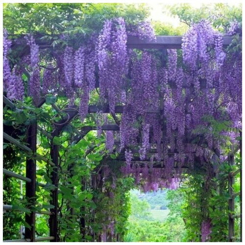 ������ ������ ������ ������ �������� ��������� 5 ��. ����