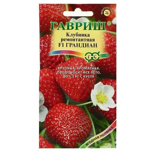 ������ ������ ������ ��������� 