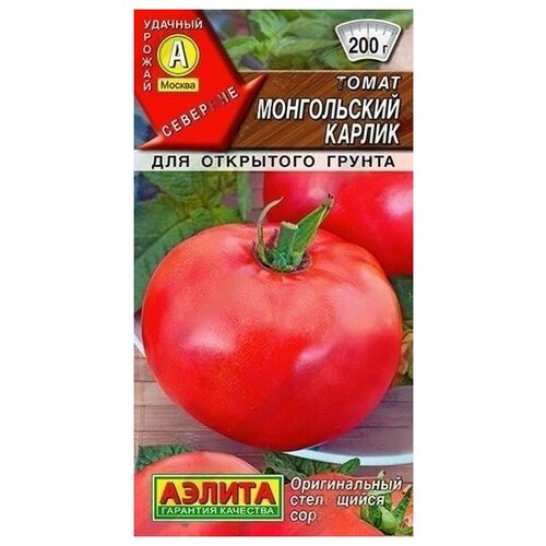 ������ ������ ����� ����������� ������ (20 �����), 2 ������ ����