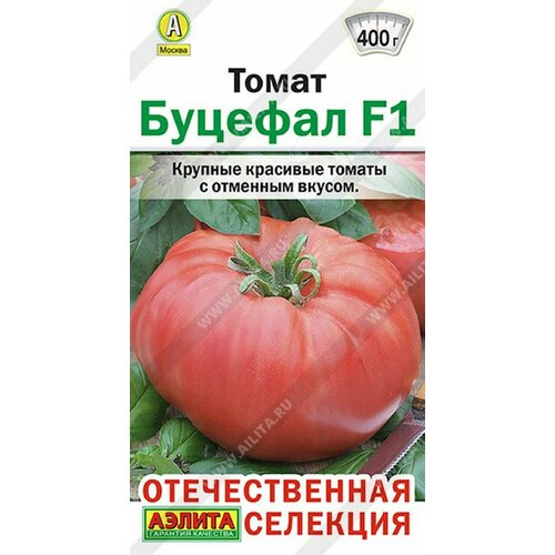 ������ ������ ����� ������� F1 ����