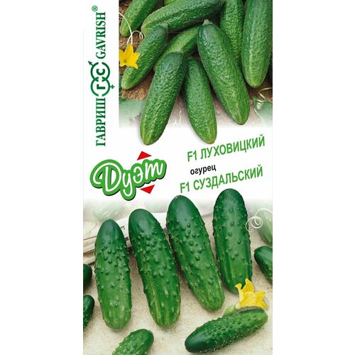 ������ ������ ������ ������ ���� ������ ���������� F1+������ ����������� F1 (1��-20���.). ����