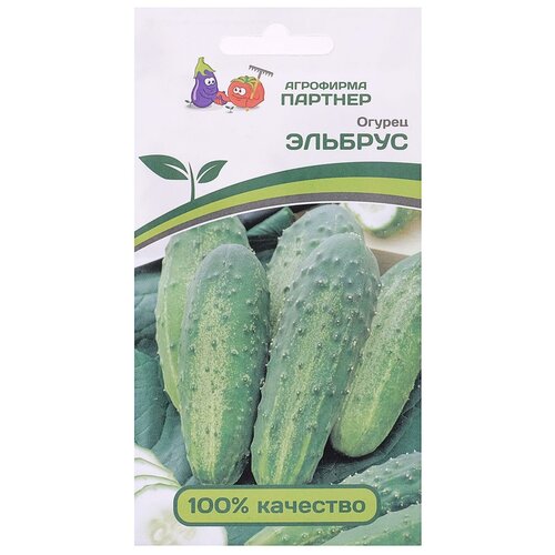 ������ ������ ������ ������ 