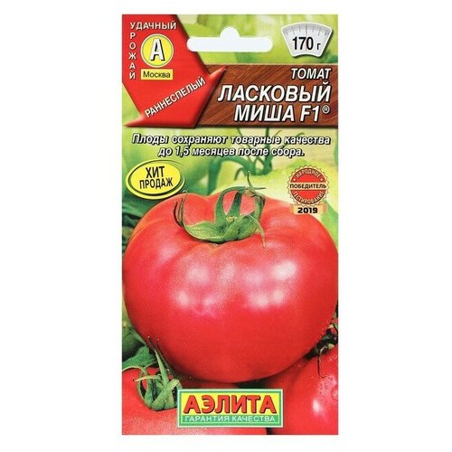 ������ ������ ������ ����� 