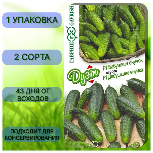 ������ ������ ������ ������ ���� �������� ������ F1 + ��������� ������ F1 (������) ����