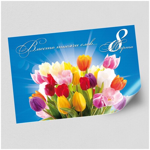 ������ ������ ����������/������ �������������� �� 8 �����, ������ �-3 (42x30 ��.) ����