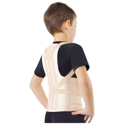 ������ ������ ������ ORTO ��� 110 �������, ������ L, ������ 45 ��, ������� ����