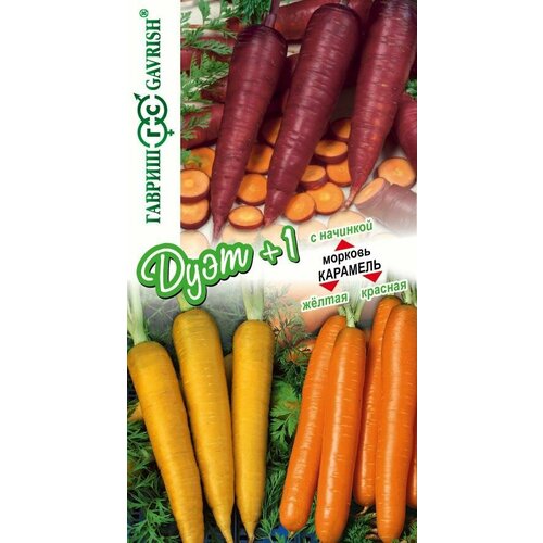 ������ ������ ������ ������� �������� ������ 0,08�+�������� ������� 0,1�+�������� � �������� 0,1� (������) ����+1 ����