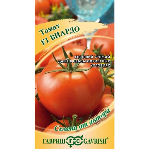 ������ ������ ������ ����� ������ F1 5�� ����� ������ (������) ����� �24 ����