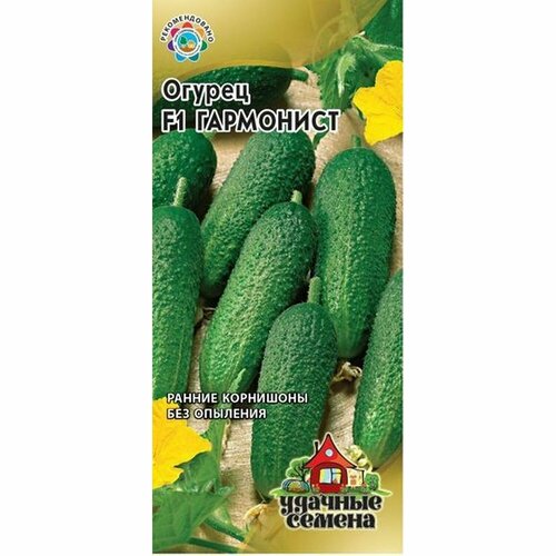 ������ ������ ������ ������ ��������� F1 (������������������) (������) 10�� (������� ������) ����