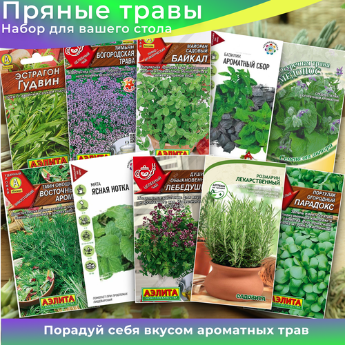 ������ ������ ����� ����� 