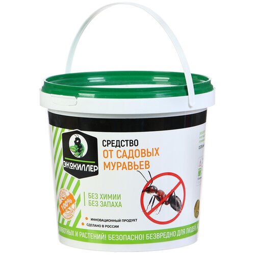 ������ ������ ��������� �������� ��������� �� ��������, 1000 ��, 300 � ����