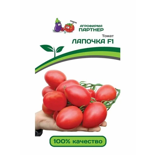 ������ ������ ������ ����� 