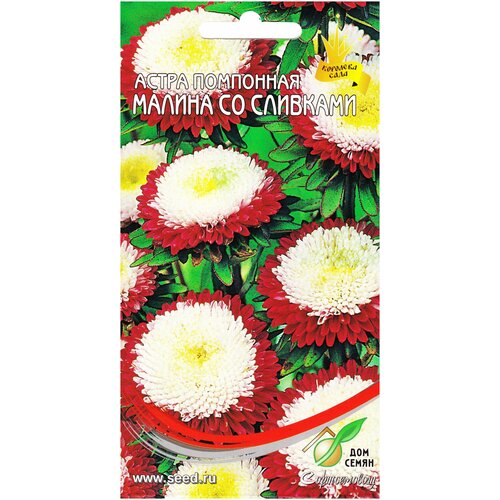 ������ ������ ����� ��������� ������ �� ��������, 100 ����� ����