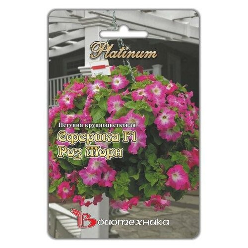 ������ ������ ������ ���������� ������� ������� F1 ��� ���� ��������������� ����