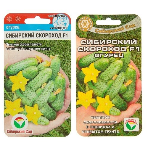 ������ ������ ������ ������ 