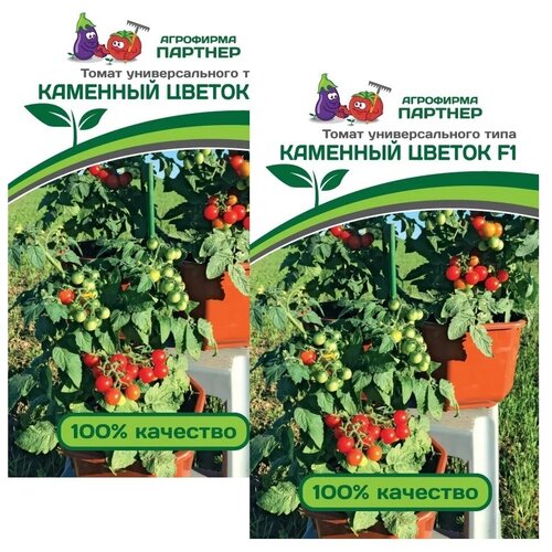 ������ ������ ������ ����� �������� ������ F1 /��������� �������/ 2 �������� �� 5 ����� ����