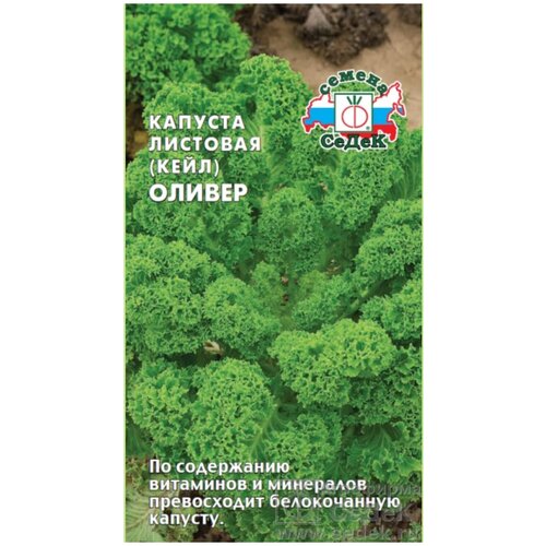 ������ ������ ������ ���� ������� �������� ������ (0.3� ) ����