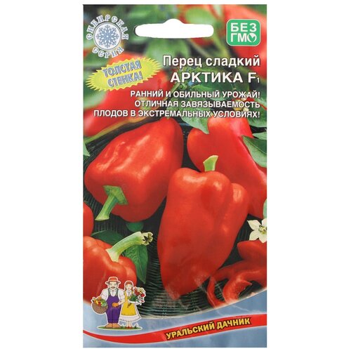 ������ ������ ������ ����� ������� 