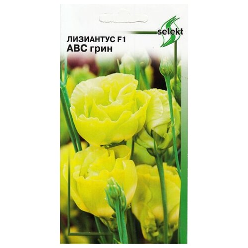 ������ ������ ������ ��� ����� ��������� F1 (�������) ��� ����, 5 �� ����