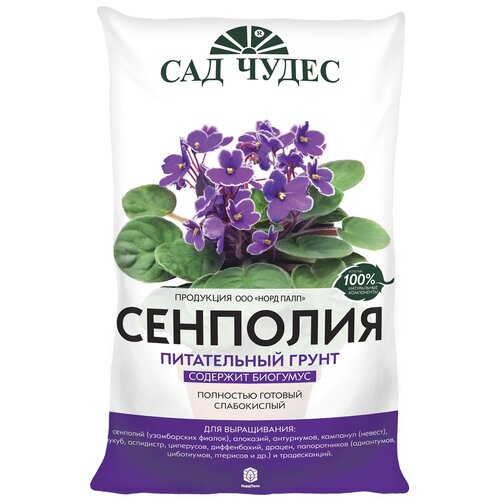 ������ ������ ����������� ����� ��������. ��� �����. 5 � ����