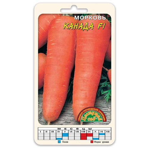 ������ ������ ������ �������� ��� 