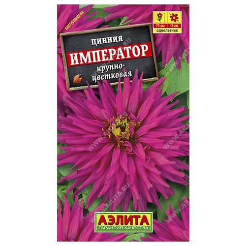 ������ ������ ������� ������ 