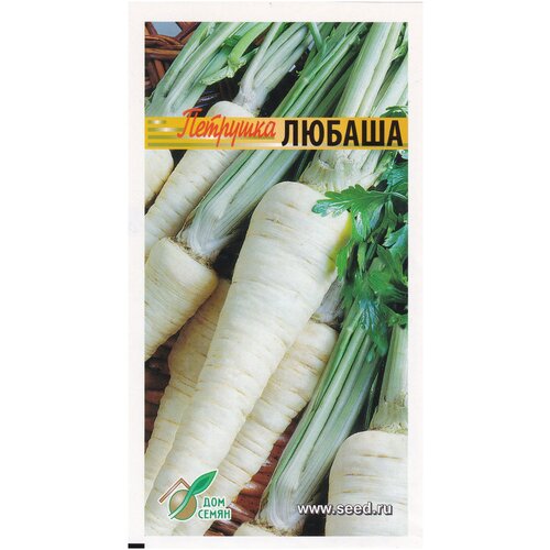 ������ ������ �������� �������� ������, 650 ����� ����