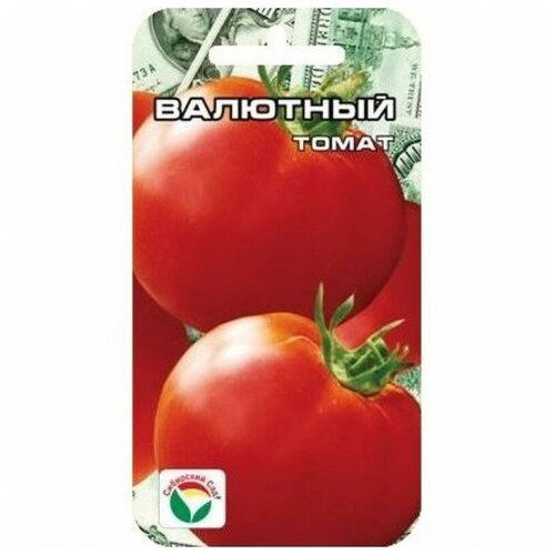 ������ ������ ����� �������� 20�� ��������� ��� ����