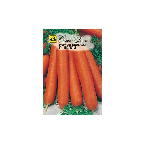 ������ ������ ������� 