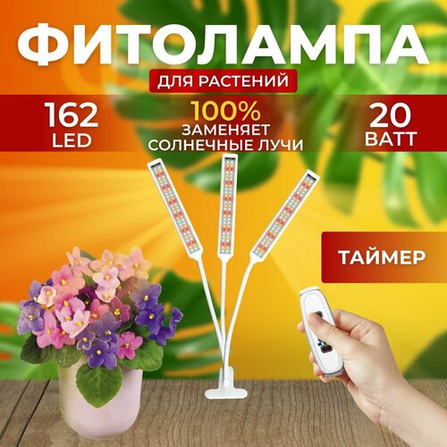 ������ ������ ��������� ��� ����������� �������� ������� ������ ������ �������������� ������������ ��� ������ �� ������ ������� � ��������� � ��������, 3 ����� ����