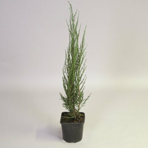 ������ ������ �������� ������������ ���������� ��� ����� 882212 �2 H30-40 ����